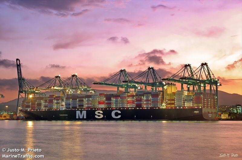 Vessel details for MSC MINA Container Ship IMO 