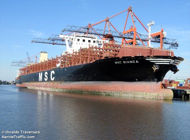 Vessel details for MSC BIANCA Container Ship IMO 